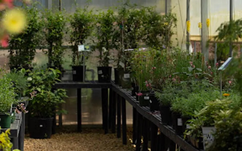 Ace Outdoors, Inc — Garden center