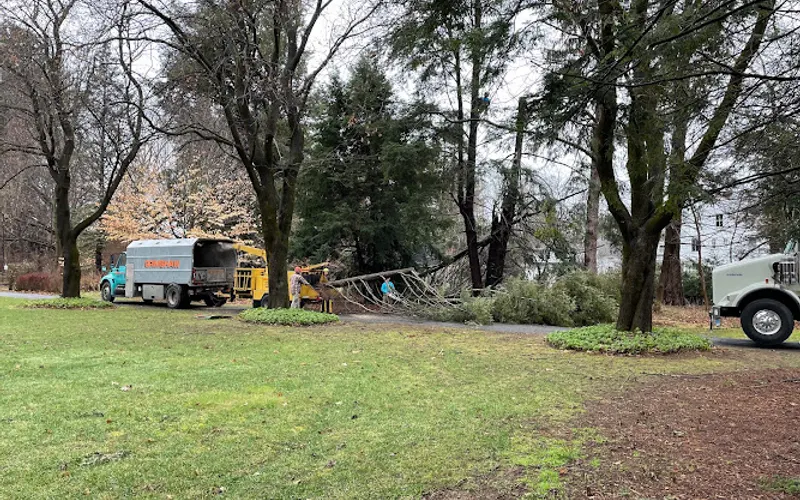 Grimshaw Tree Services & Nursery Co — Tree service
