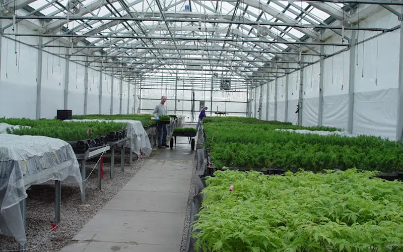 McKay Nursery Company — Plant nursery