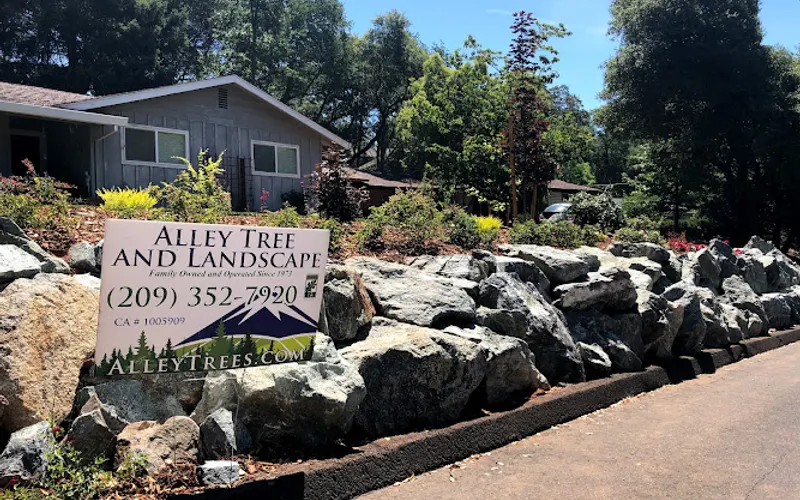 Alley Tree & Landscape — Tree service