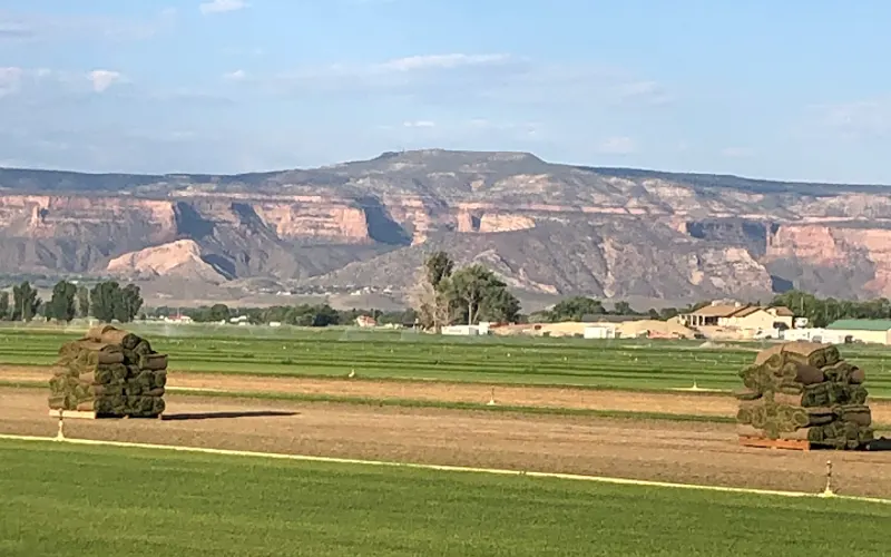 Grassroots Sod Farm — Sod supplier