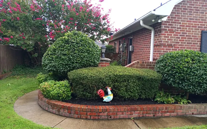 Beast lawn and landscape — Lawn care service