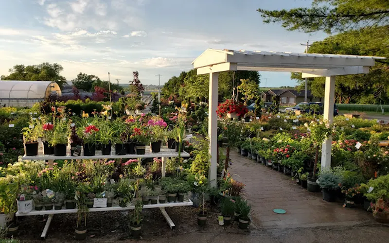 Wagner Nursery Inc — Garden center