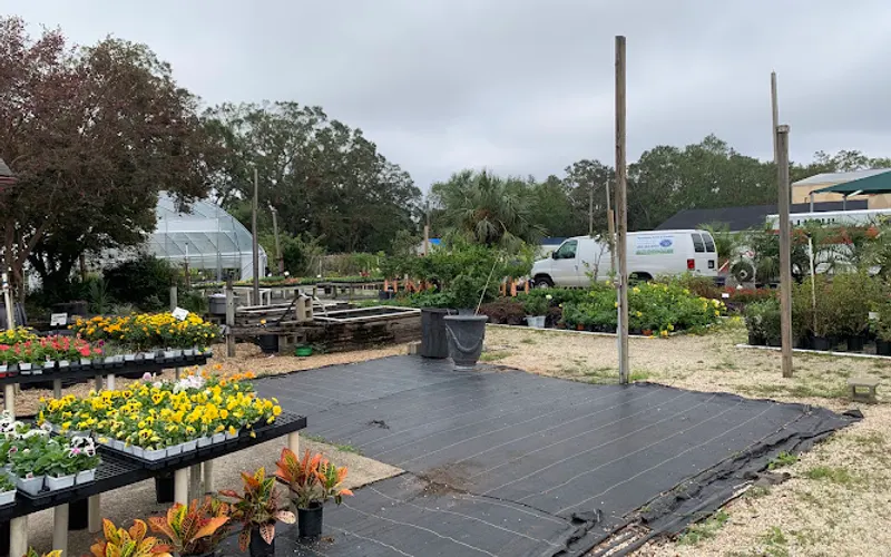 Pensacola Seed & Garden — Garden center