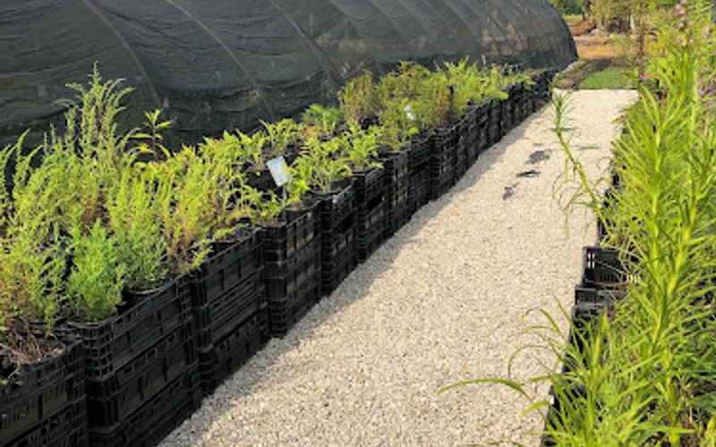 Country Arbors Nursery — Landscaper