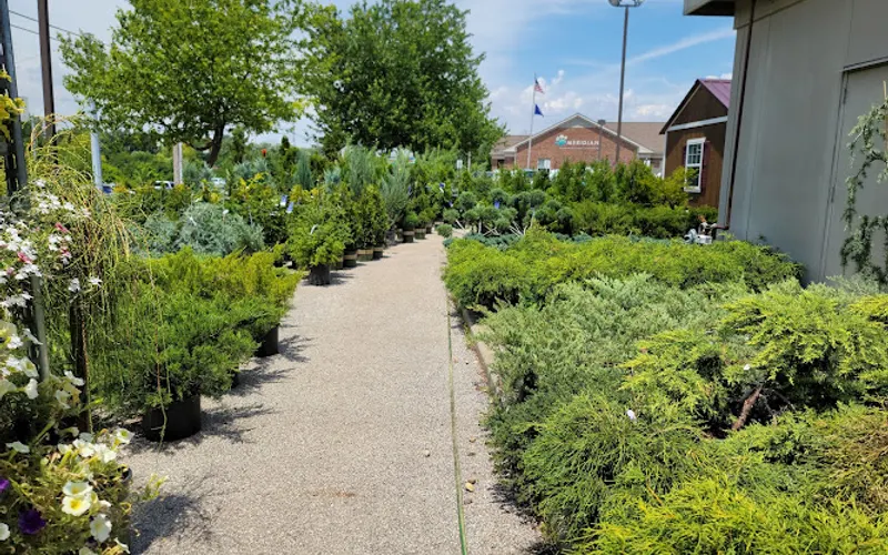 McCammons Irish Market — Plant nursery
