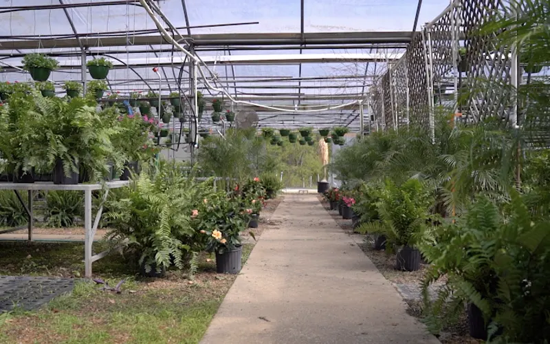 Wildwood Farms — Plant nursery