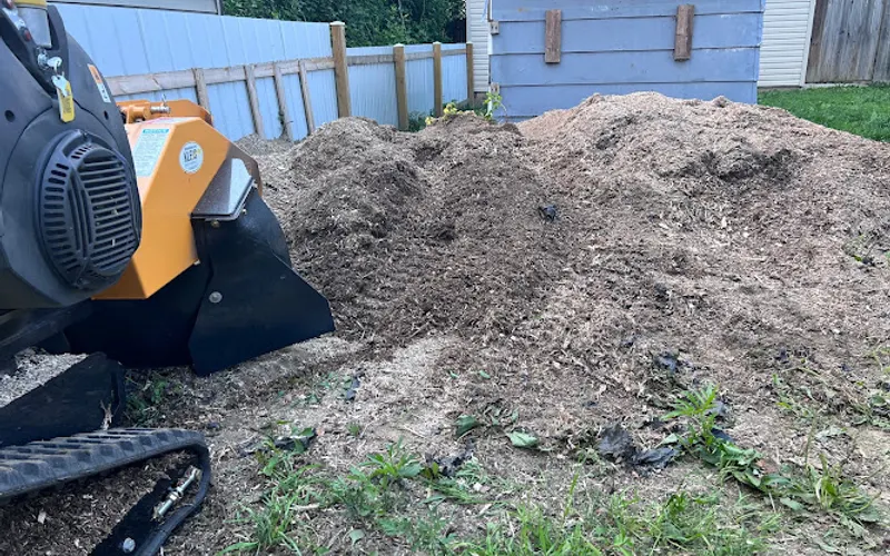 J North Services — Tree service