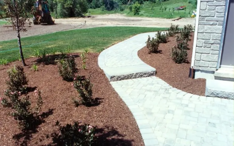 Thomas Landscape & Design, Inc. — Landscape designer