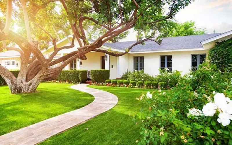 Starr Turf Grass & Stone — Sod supplier