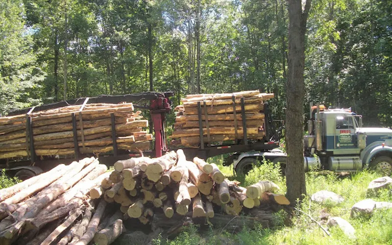 Ewald's Logging — Logging contractor