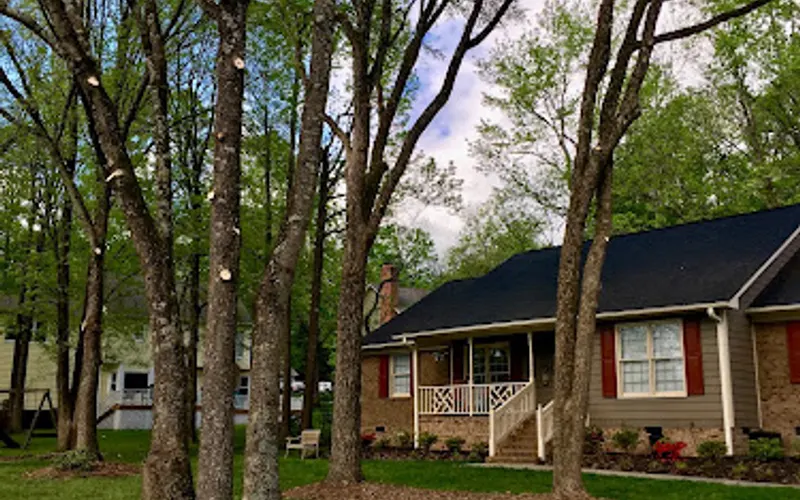 Johnson Tree Experts LLC — Tree service