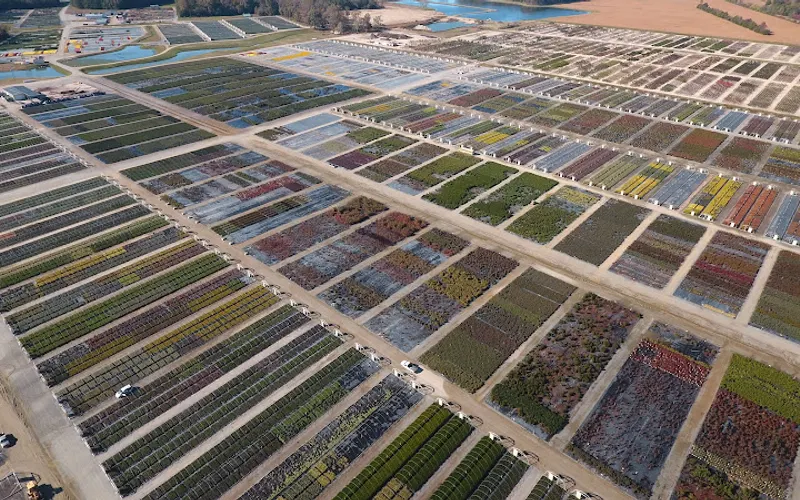 Bennett's Creek Nursery — Stone supplier