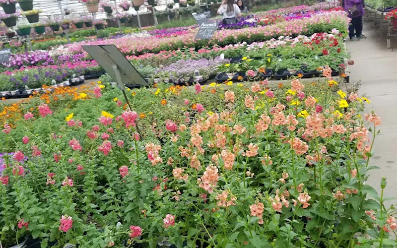 East Pierre Garden Center — Garden center
