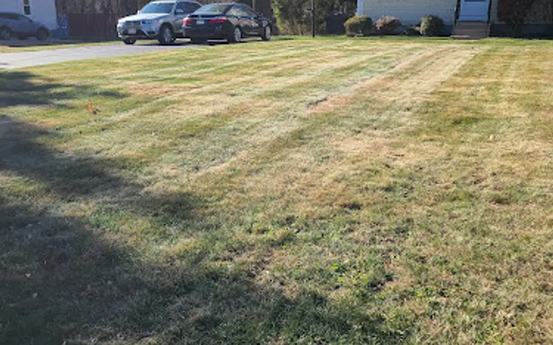 Wally's Landscaping Inc — Landscaper