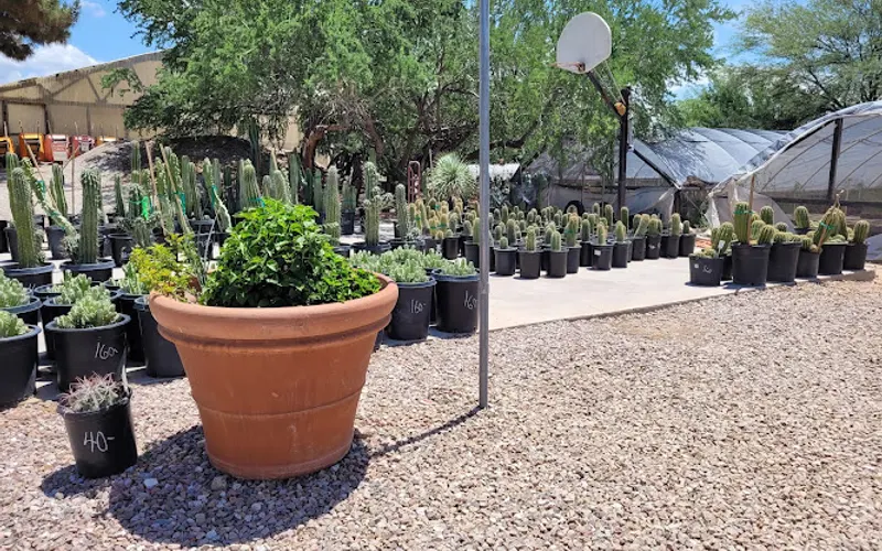 Bach's Greenhouse Cactus Nursery — Plant nursery
