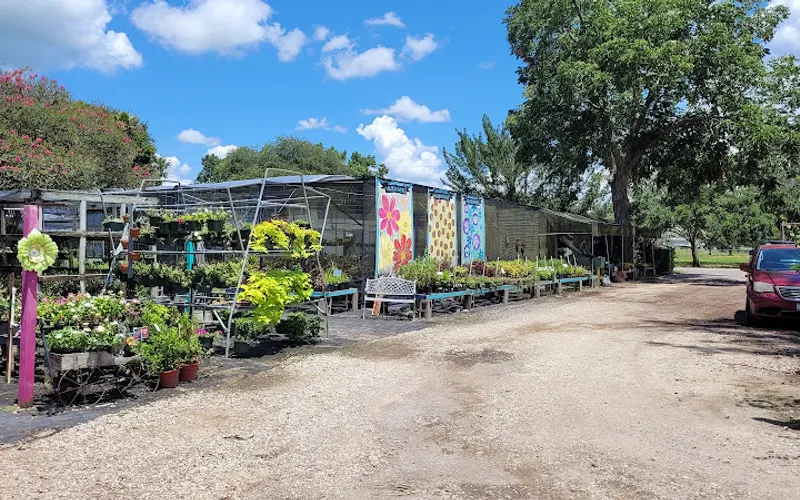 Jimbo's Nursery — Plant nursery