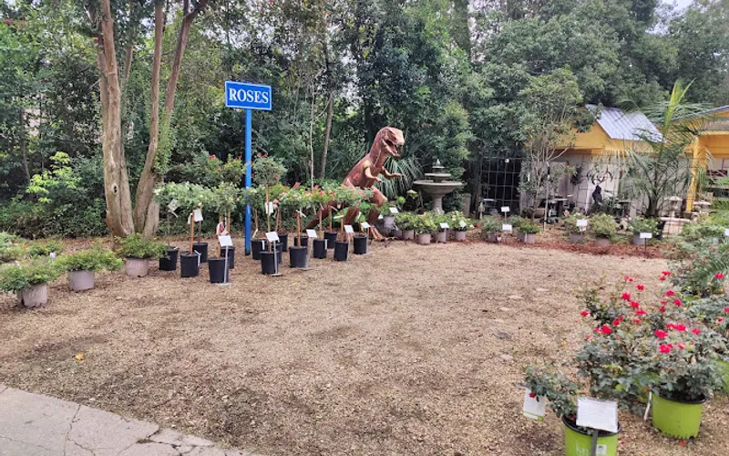Tallahassee Nurseries — Landscaper