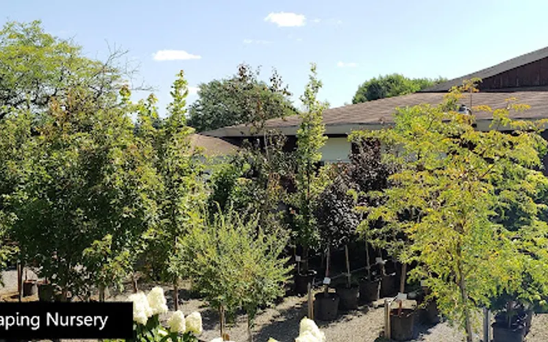 Four Seasons Landscaping Nursery — Landscaping supply store