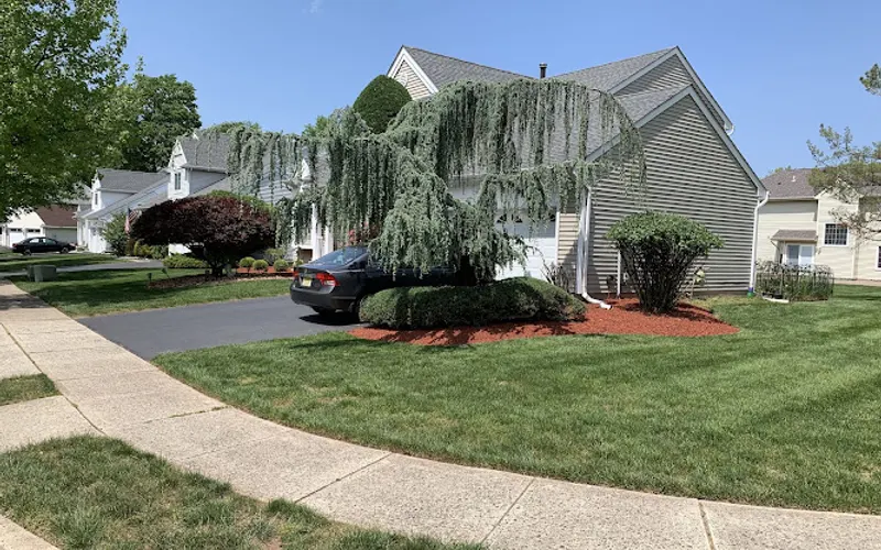 Curbside Lawn & Landscape — Landscaper