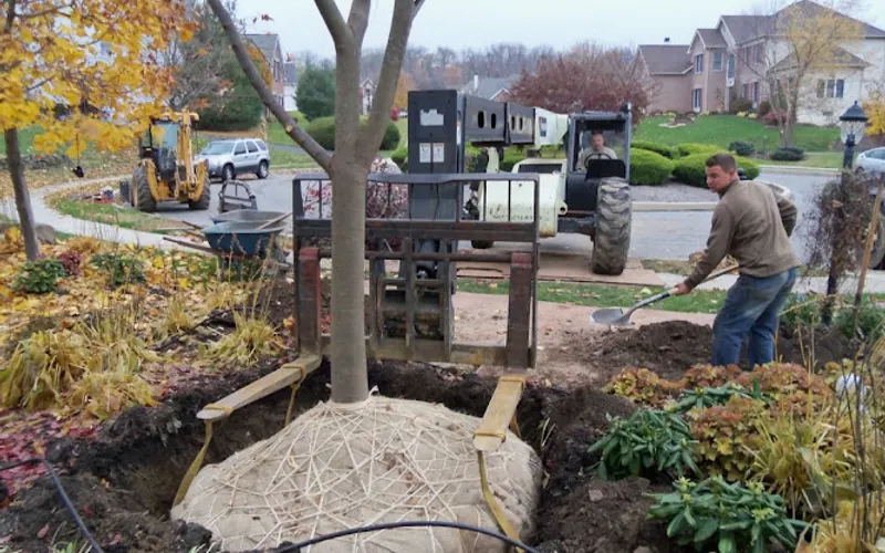 Wojton's Nursery — Garden center