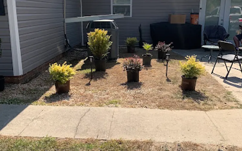 Carter’s Nursery & Gifts — Garden center