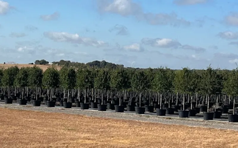 Tip's Turf — Topsoil supplier