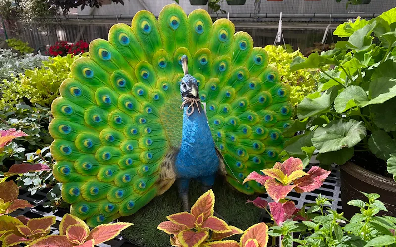 Hagan Ace Garden Center — Garden center
