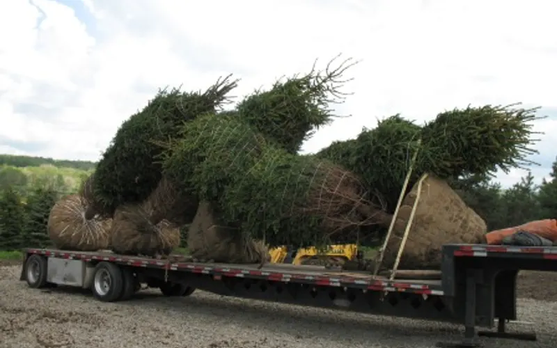 A & J's, Inc. — Garden center