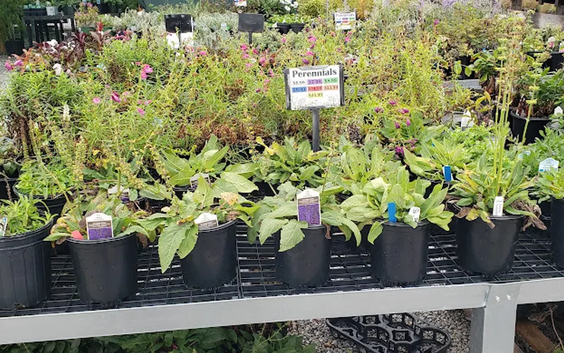 Southeast Landscape Supply — Garden center