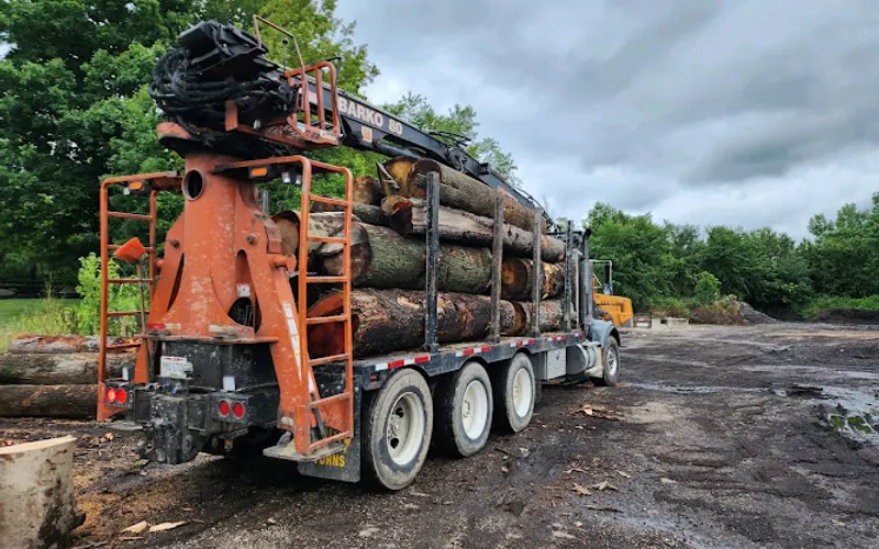 John's Tree Services & Landscaping — Tree service