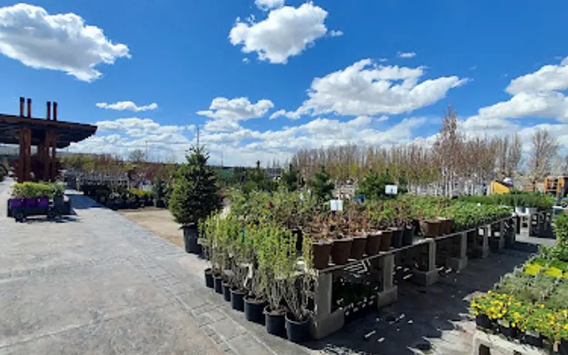 Eagle Rock Nursery — Landscaping supply store