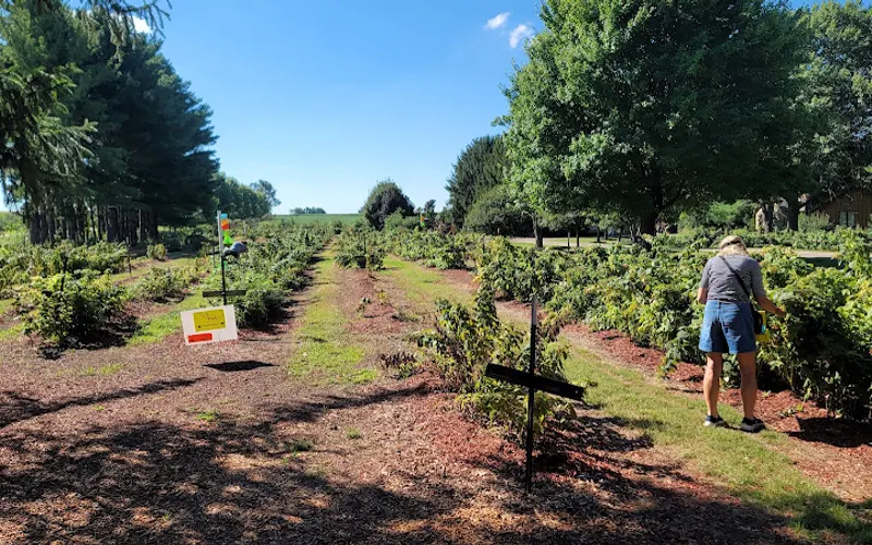 Stillman Valley Nursery & Garden Center — Landscaping supply store