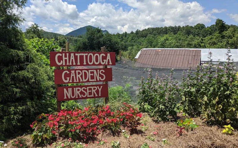 Chattooga Gardens — Plant nursery