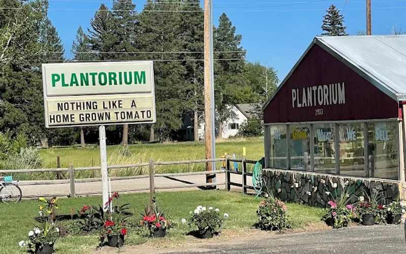 Plantorium Greenhouse/Nursery — Greenhouse