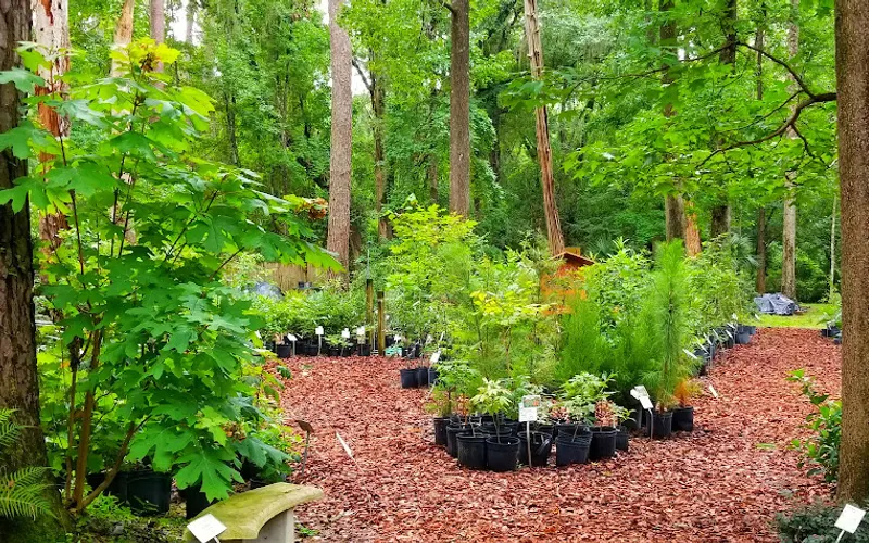 Native Nurseries — Garden center