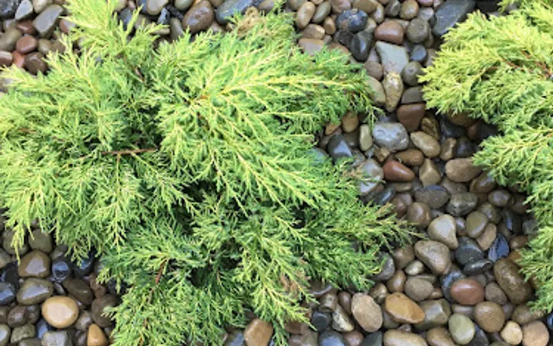 Yorktown Garden Supply — Landscaping supply store