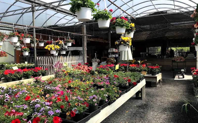 RC Sons Garden Center — Garden center