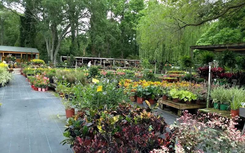 Bruno Landscape & Nursery — Garden center