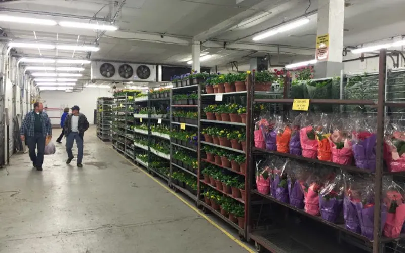 Bob's Market and Greenhouses, Inc. - Wholesale — Wholesale plant nursery