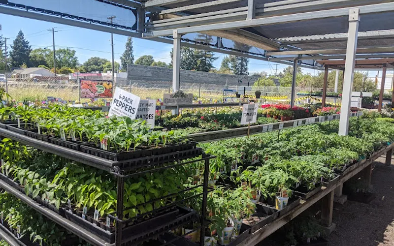 Van Winden's Garden Center — Garden center