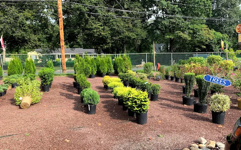 The Garden Center & Pond Supplies — Garden center