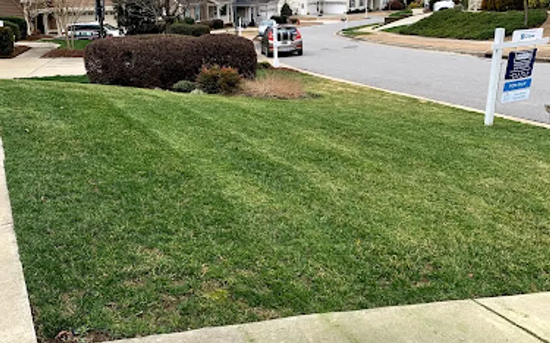 Groundworks Raleigh — Lawn care service
