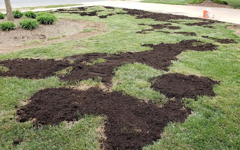 Norfleet Quality Mulch — Mulch supplier
