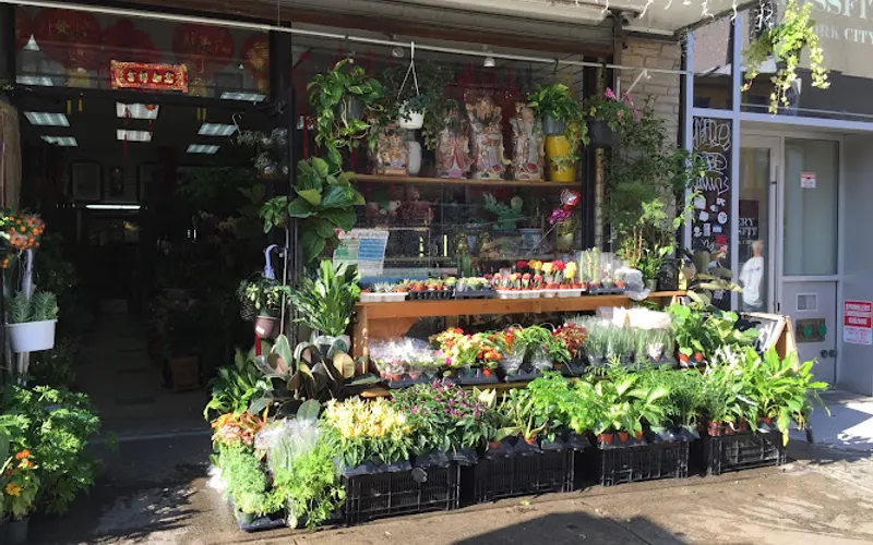Dahing Plants & Landscaping — Landscaper