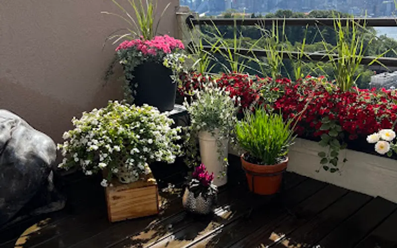 14th Street Garden Center — Garden center