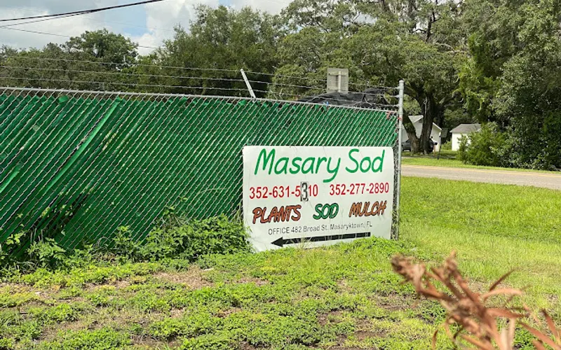 Masaryk Sod & Landscaping — Sod supplier