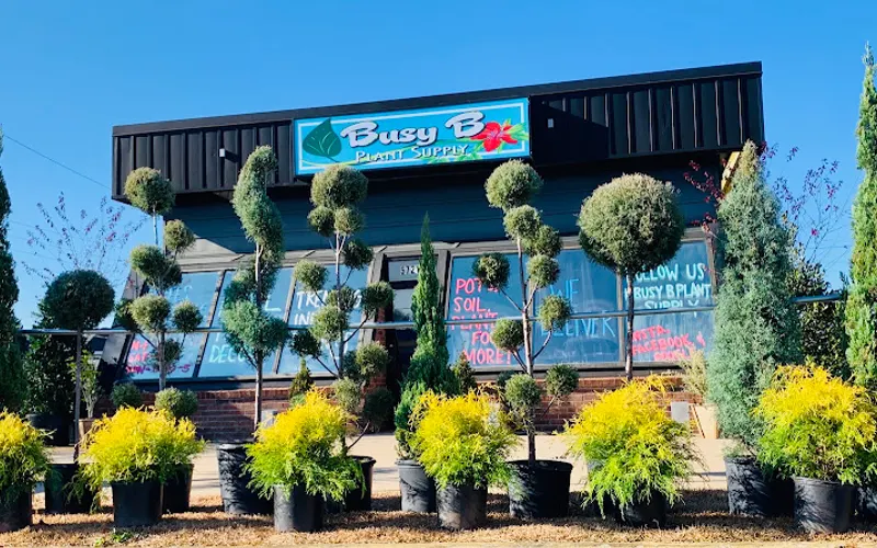 Busy B Plant Supply — Garden center