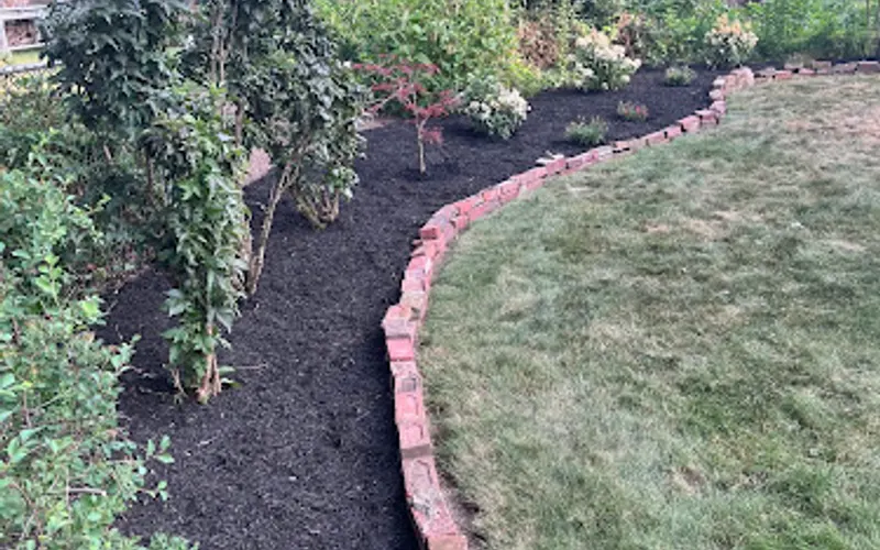 Rooted Landscape Design & Plant Care LLC. — Landscape designer
