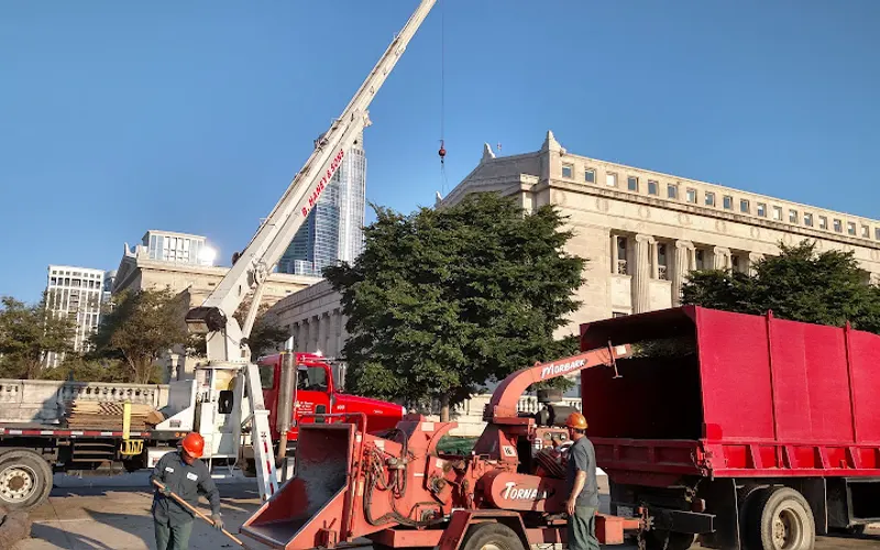 The Davey Tree Expert Company — Tree service